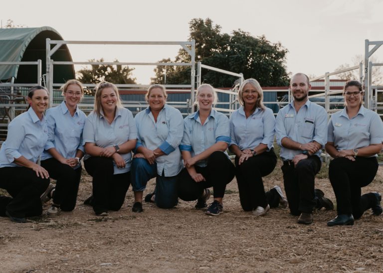 Great Artesian Vet Surgery Hughenden Chamber of Commerce