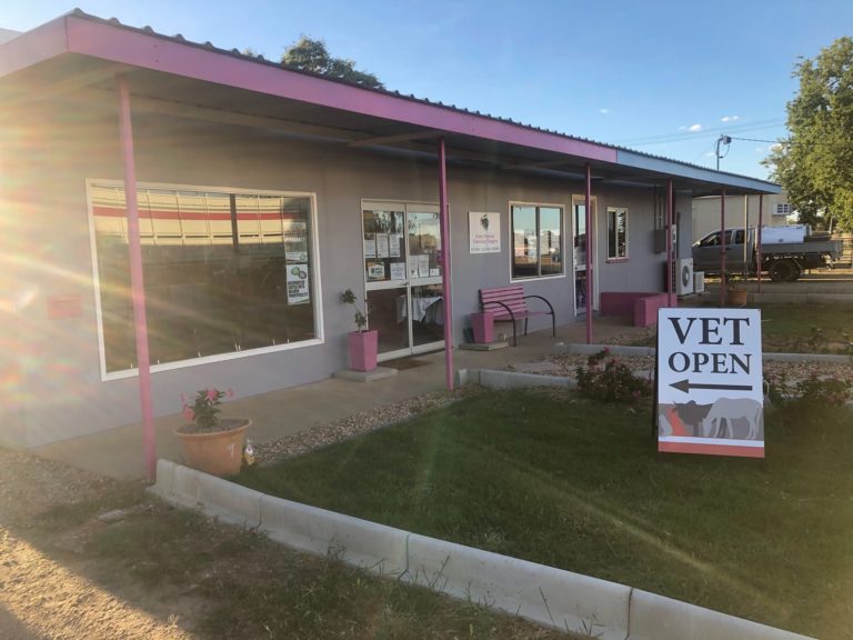 Great Artesian 2 768x576