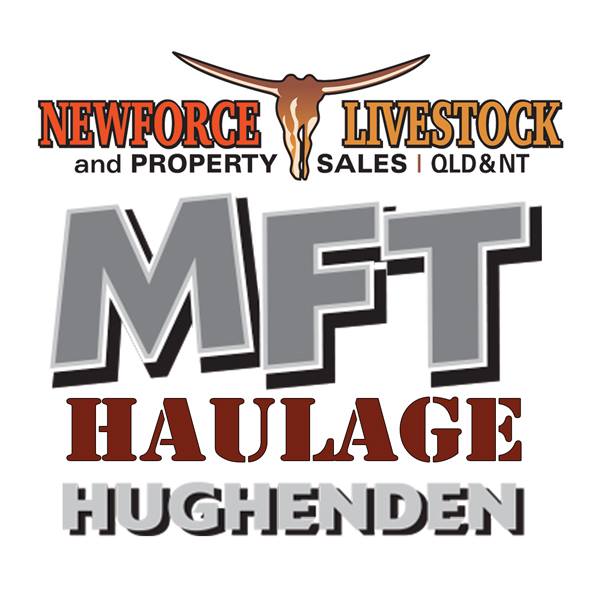 MFT Logo