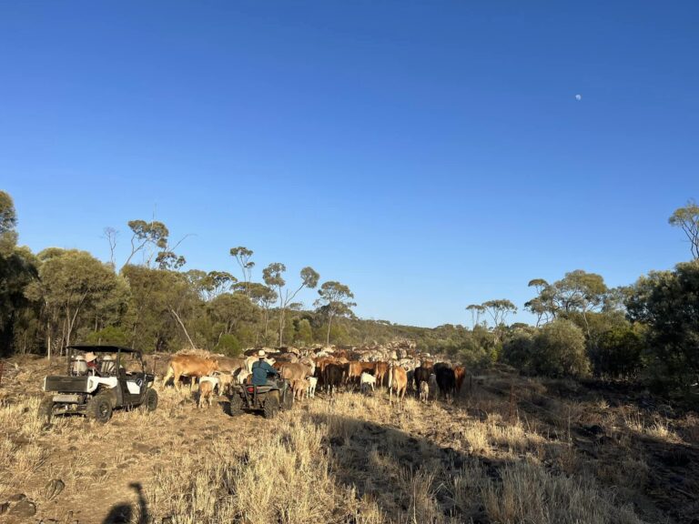 WEstcott contract 3 768x576